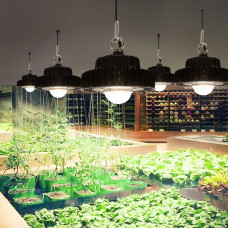 100W LED Grow Light for Indoor Plants COB Grow Lights 12000lm