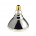 250Watt ETL Coated Infrared Heat Lamp Bulb Shatter Resistant