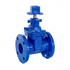 Gate Valve 2-1/2" Ductile Iron Flanged NRS Resilient Wedge Gate Valve 200 Psi Water Oil Applicable