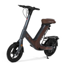 Electric Scooter Motorcycle with 14
