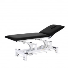 Treatment Table Power Exam Table Electric Hi-Low Table 2-Section Adjustable Backrest  76.7