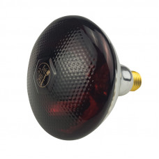 250Watt ETL Red Coated Infrared Heat Lamp Bulb